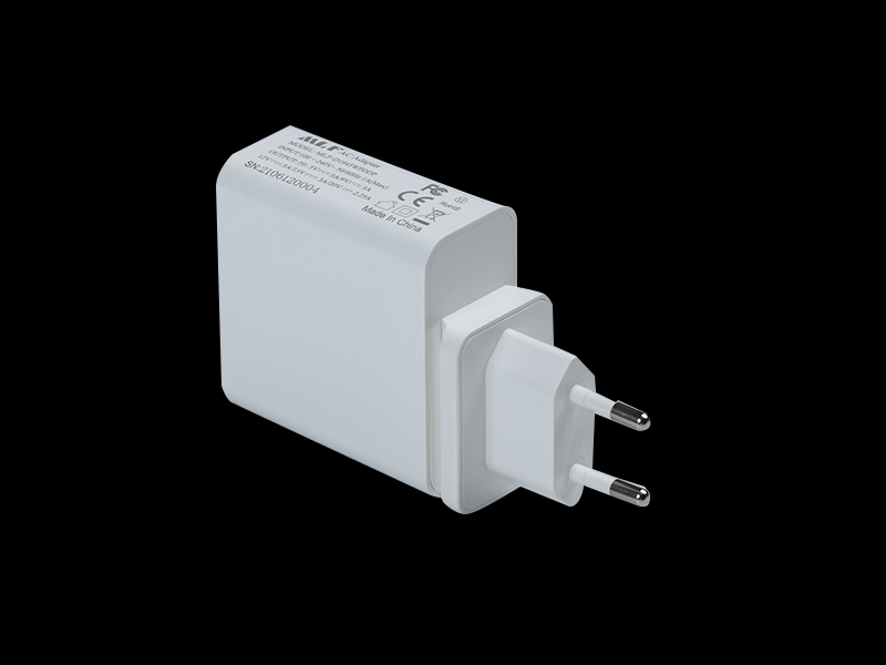 D19 PD45W EU plug 